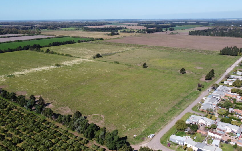 Campo agrícola en venta en Gobernador Castro | 24 hectáreas