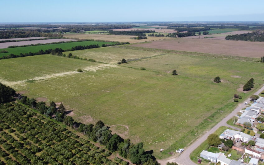Campo agrícola en venta en Gobernador Castro | 24 hectáreas