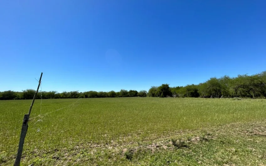 Campo mixto en Carmelo, Uruguay