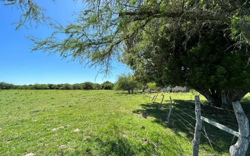 Campo mixto en Carmelo, Uruguay