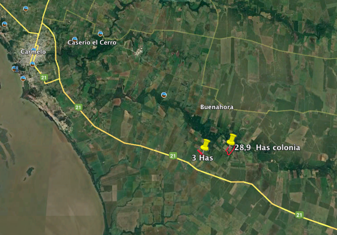Campo mixto en Carmelo, Uruguay
