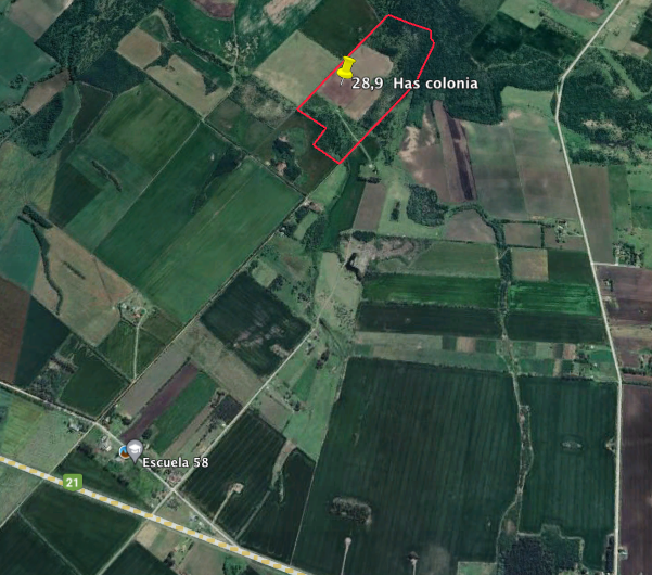 Campo mixto en Carmelo, Uruguay