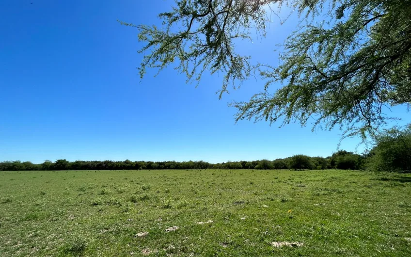 Campo mixto en Carmelo, Uruguay