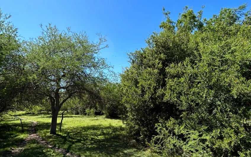 Campo mixto en Carmelo, Uruguay
