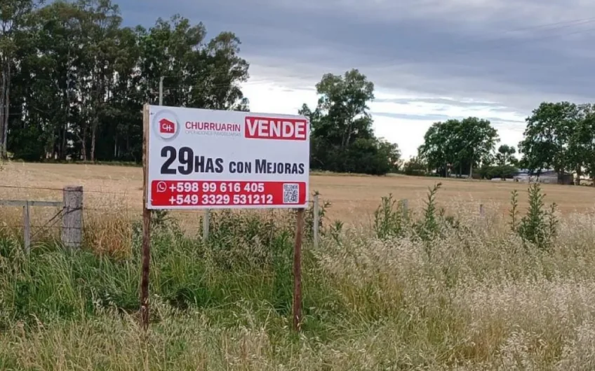 Campo mixto en Carmelo, Uruguay