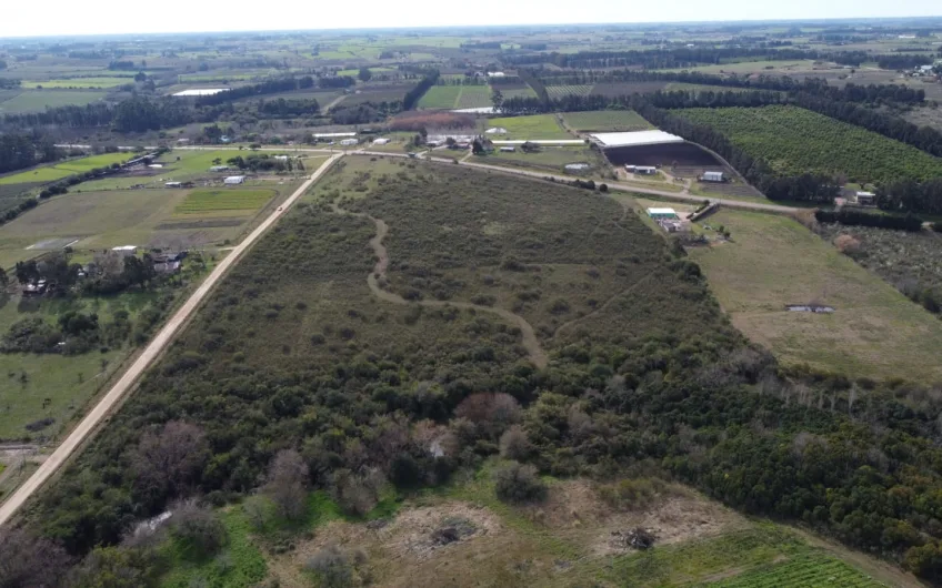 Vista aérea de las 7 hectáreas en venta en Canelones, Uruguay