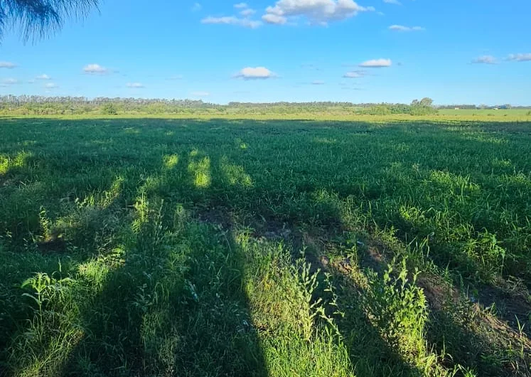 Campo de 15,60 Has en Gobernador Castro, San Pedro
