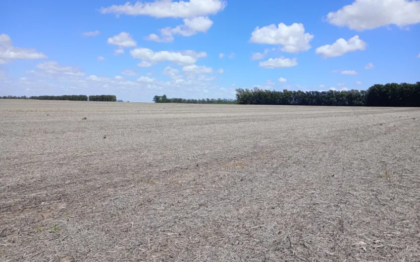 Venta de Campo – 17 Hectáreas en Gobernador Castro