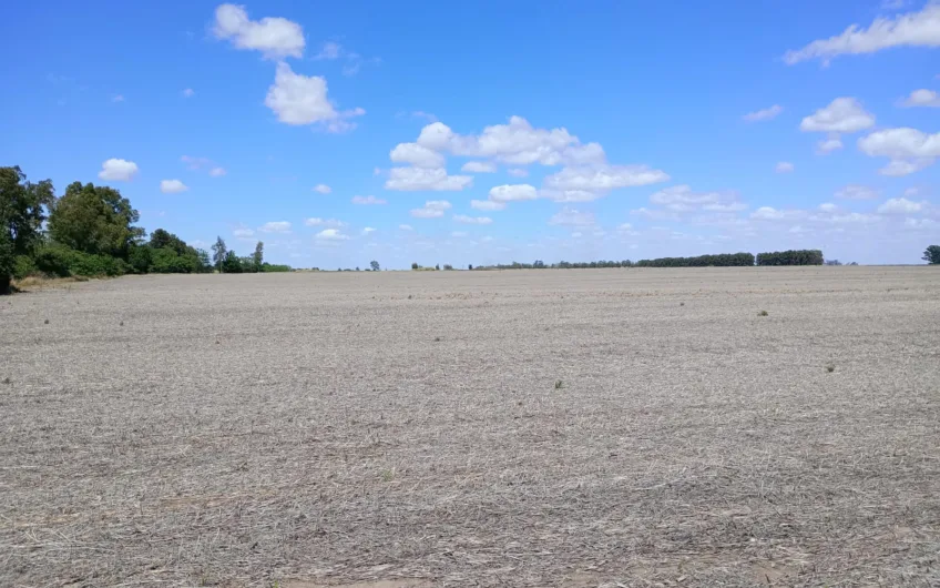 Venta de Campo – 17 Hectáreas en Gobernador Castro