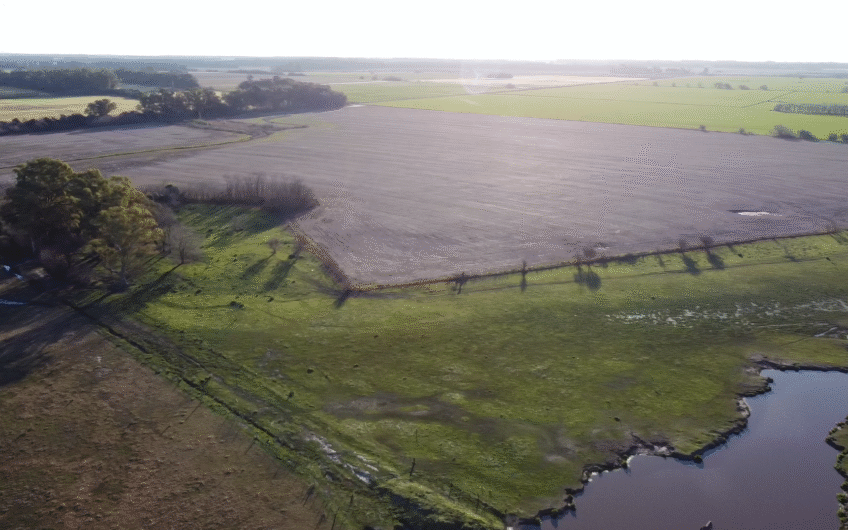Venta de Campo Mixto – 52,8 Hectáreas en Paraje Espinillo