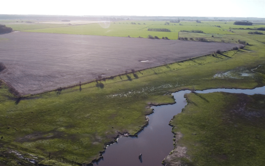 Venta de Campo Mixto – 52,8 Hectáreas en Paraje Espinillo