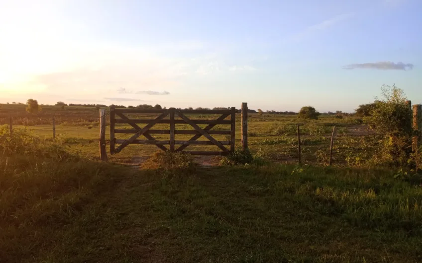 Venta de Campo Mixto – 52,8 Hectáreas en Paraje Espinillo
