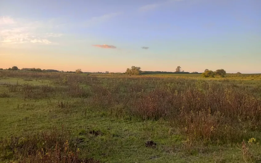 Venta de Campo Mixto – 52,8 Hectáreas en Paraje Espinillo