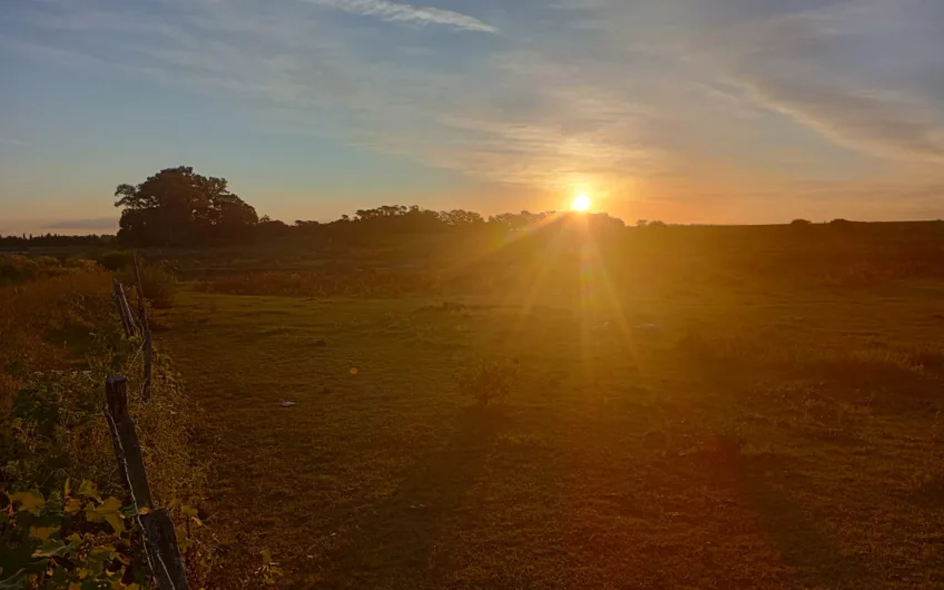 Venta de Campo Mixto – 52,8 Hectáreas en Paraje Espinillo