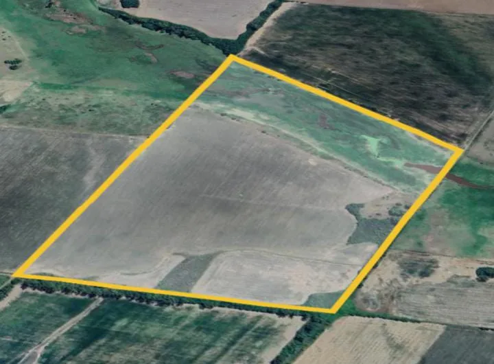Venta de Campo Mixto – 52,8 Hectáreas en Paraje Espinillo