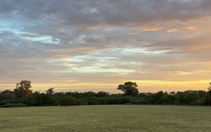 Hermosa chacra en Venta en Gualeguaychú – 2,44 Ha.