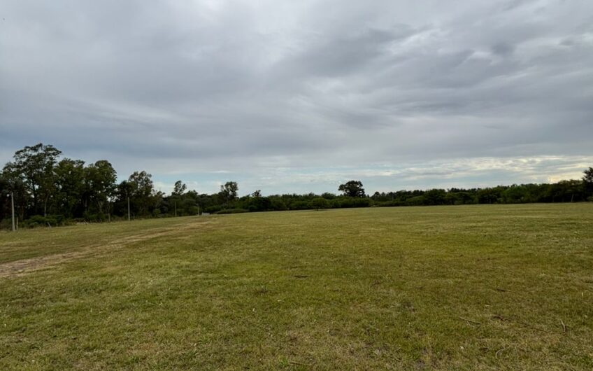 Hermosa chacra en Venta en Gualeguaychú – 2,44 Ha.