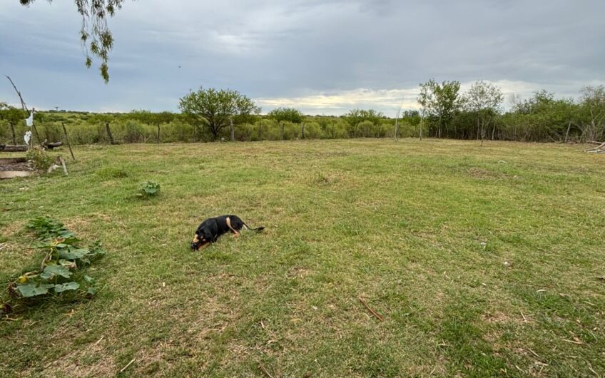 Hermosa chacra en Venta en Gualeguaychú – 2,44 Ha.