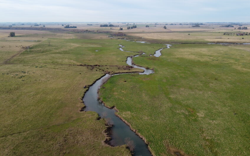 Oportunidad en Baradero: campo mixto de 100 hectáreas en venta