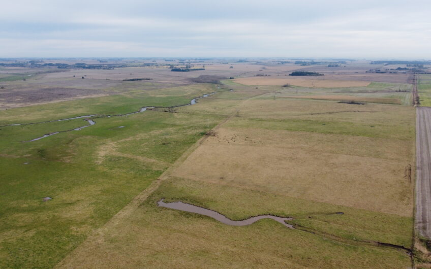 Oportunidad en Baradero: campo mixto de 100 hectáreas en venta