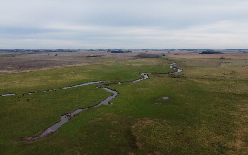Oportunidad en Baradero: campo mixto de 100 hectáreas en venta