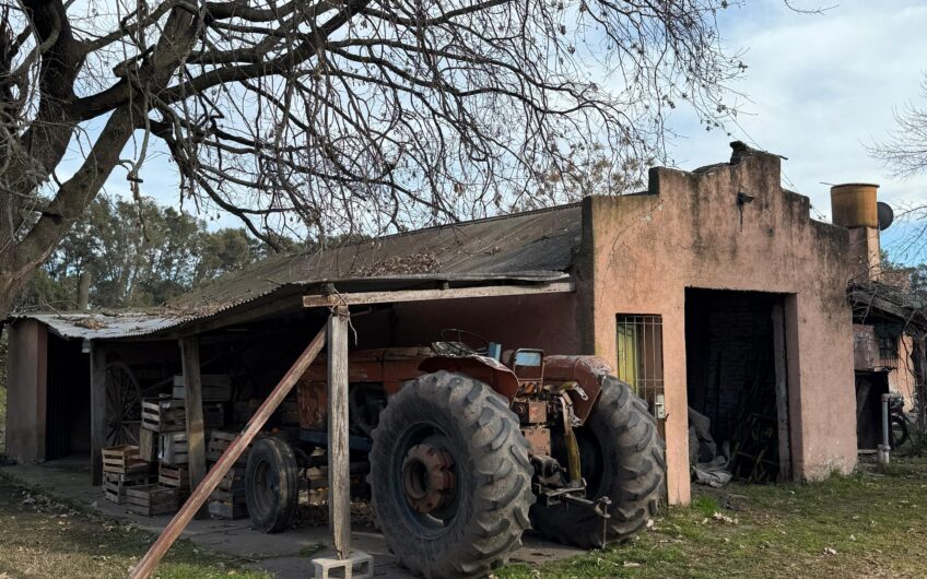 Campo en Venta – 10 Has con Casa y Plantación de Naranjas