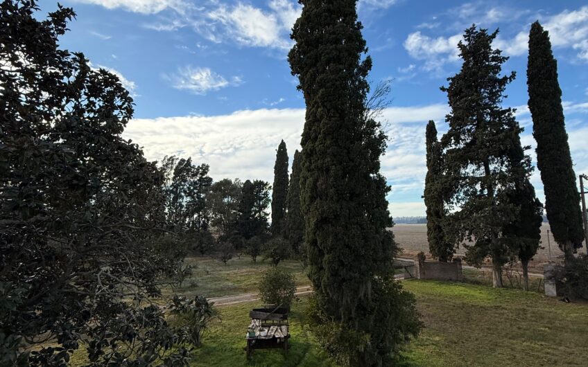 Campo en Venta – 10 Has con Casa y Plantación de Naranjas