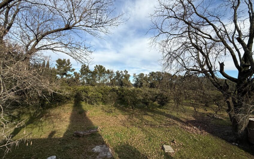 Campo en Venta – 10 Has con Casa y Plantación de Naranjas