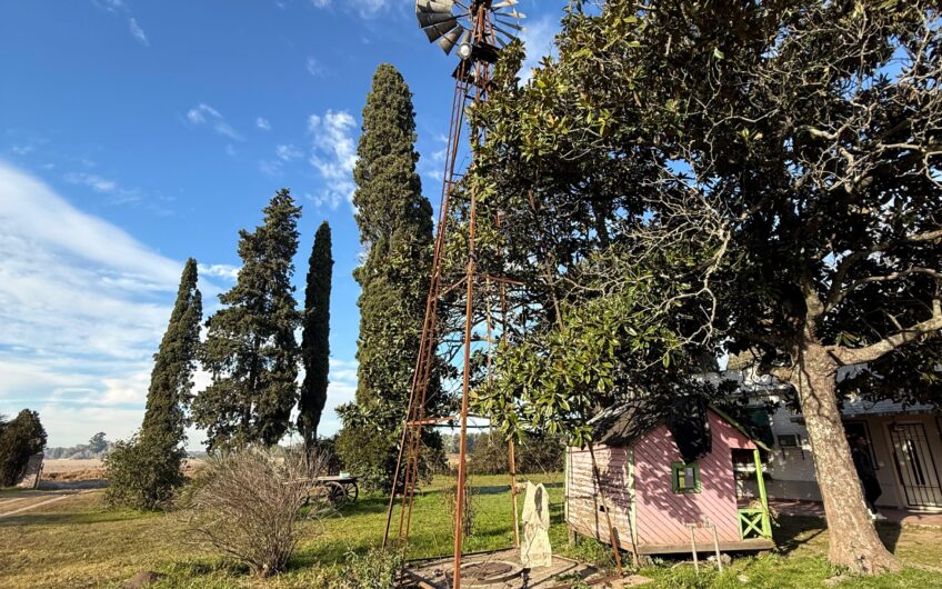 Campo en Venta – 10 Has con Casa y Plantación de Naranjas