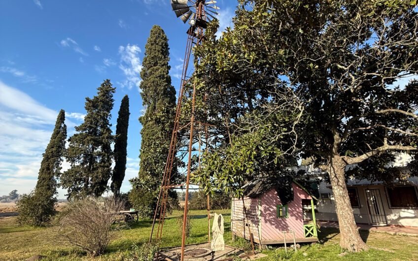 Campo en Venta – 10 Has con Casa y Plantación de Naranjas