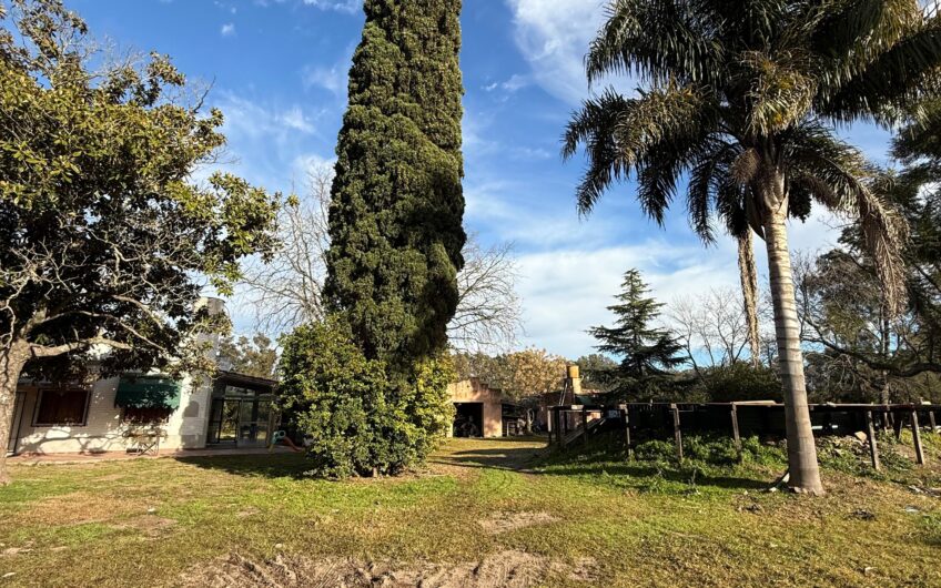 Campo en Venta – 10 Has con Casa y Plantación de Naranjas
