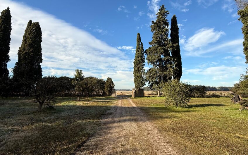Campo en Venta – 10 Has con Casa y Plantación de Naranjas