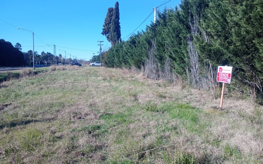 Terreno en venta en Villa Jardín – 1000 m²