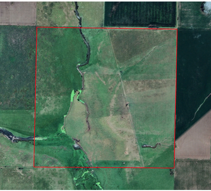 Oportunidad en Baradero: campo mixto de 100 hectáreas en venta