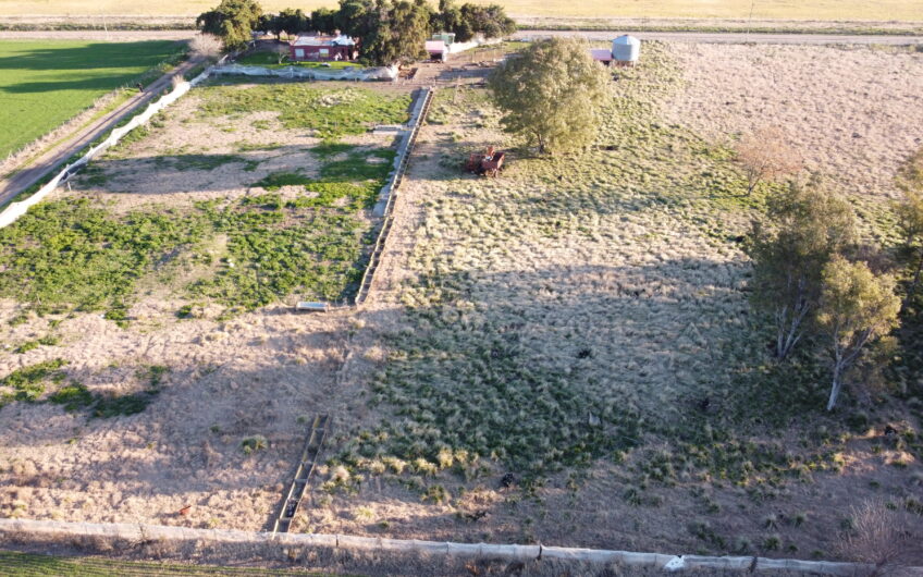 Campo ganadero con feedlot en venta – Ingeniero Moneta, 2 has