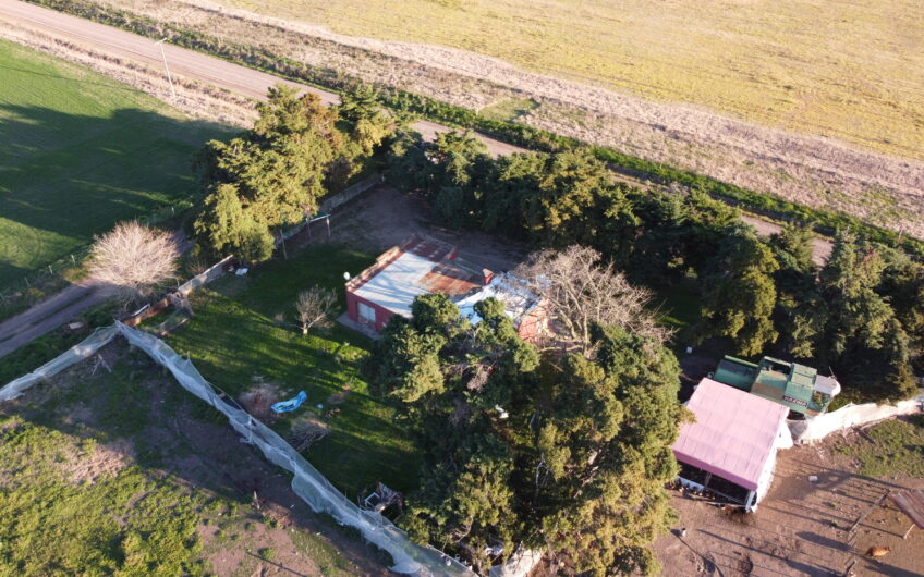 Campo ganadero con feedlot en venta – Ingeniero Moneta, 2 has