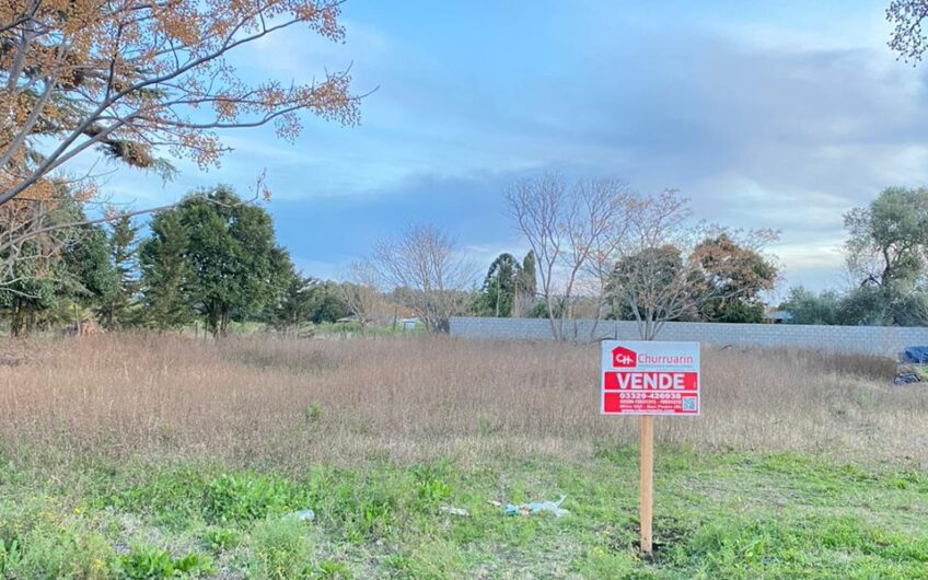 Lote en venta en Gob. Castro – 600 m² con servicios