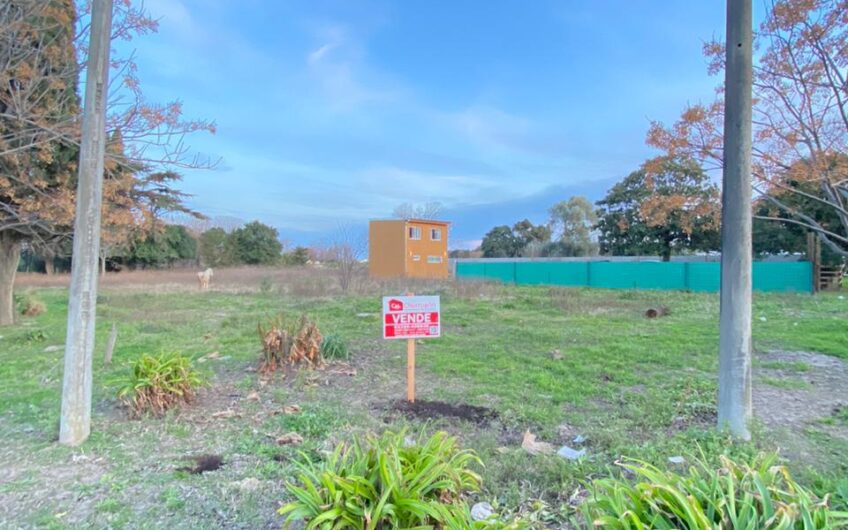 Lote en esquina en Gob. Castro – 750 m² con servicios