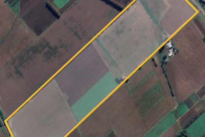 Venta de campo agrícola en San Pedro – 55 Has sobre Ruta 1001