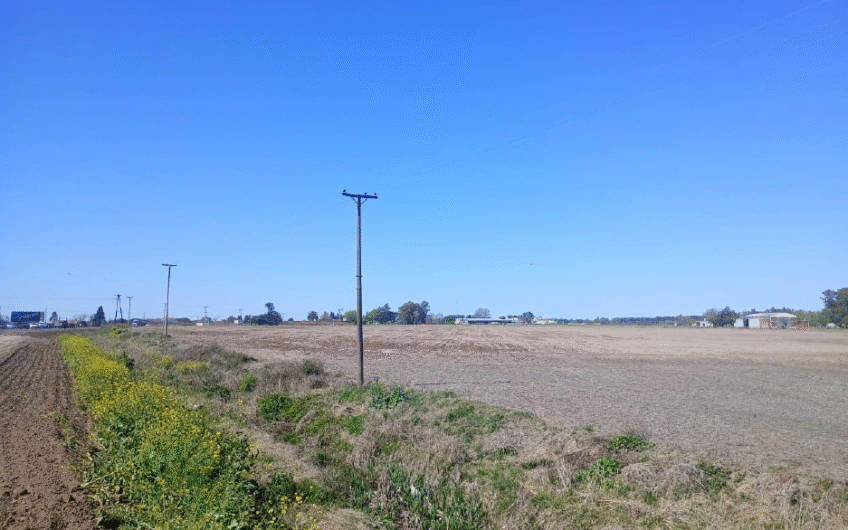 Venta de campo agrícola en San Pedro – 55 Has sobre Ruta 1001