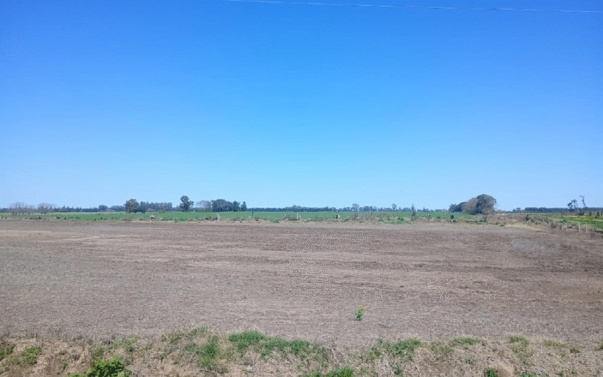Venta de campo agrícola en San Pedro – 55 Has sobre Ruta 1001