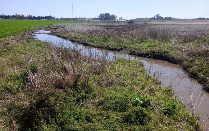 Venta de campo agrícola en San Pedro – 55 Has sobre Ruta 1001