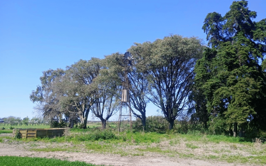 Venta de campo agrícola en San Pedro – 55 Has sobre Ruta 1001