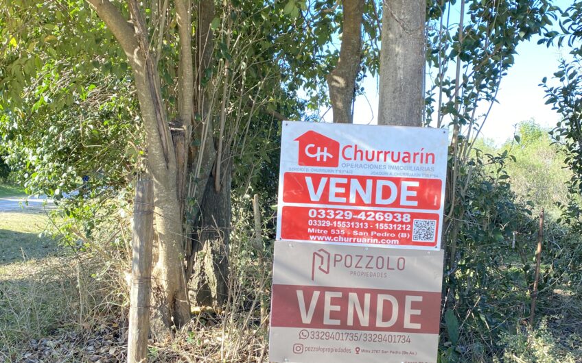 Terreno en venta en Vuelta de Obligado | 1250 m² – San Pedro