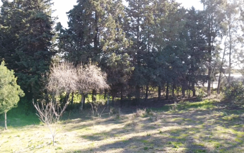 Venta de lote de 4000 m² en Villa Jardín | San Pedro