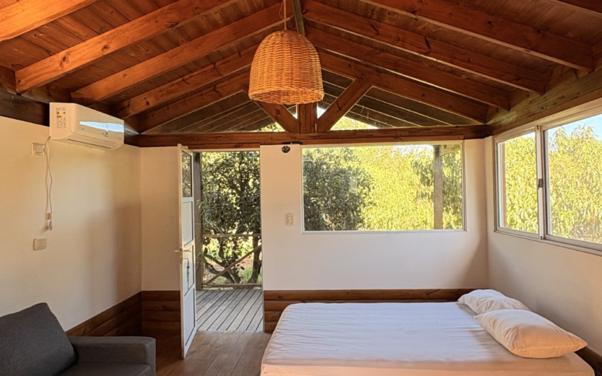 Campo de 11 hectáreas en venta con casas, cabañas, pecán y laguna natural
