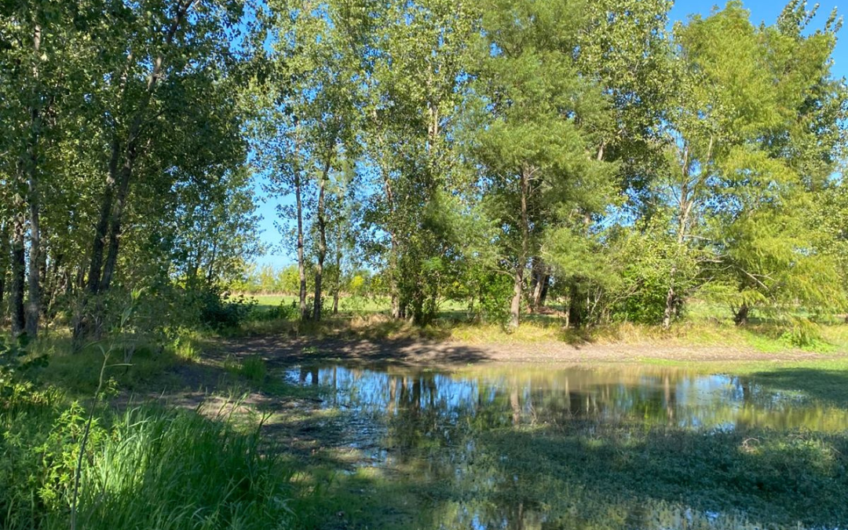 Campo de 11 hectáreas en venta con casas, cabañas, pecán y laguna natural