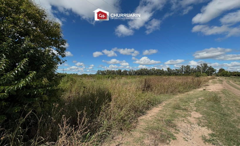 Campo en venta 3 hectáreas en San Pedro