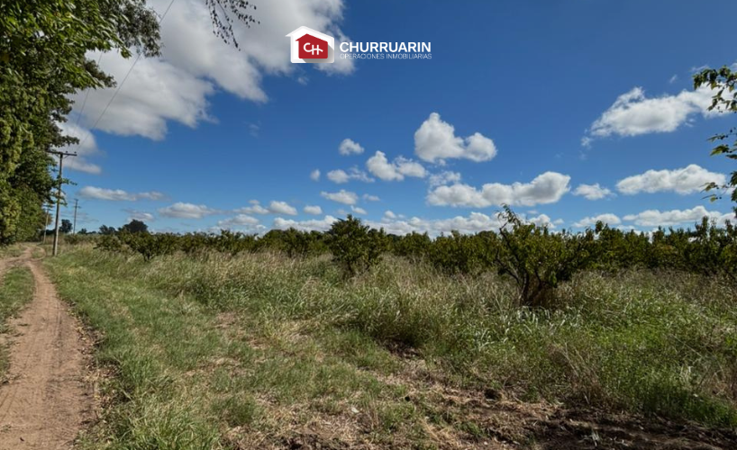 Campo en venta 3 hectáreas en San Pedro