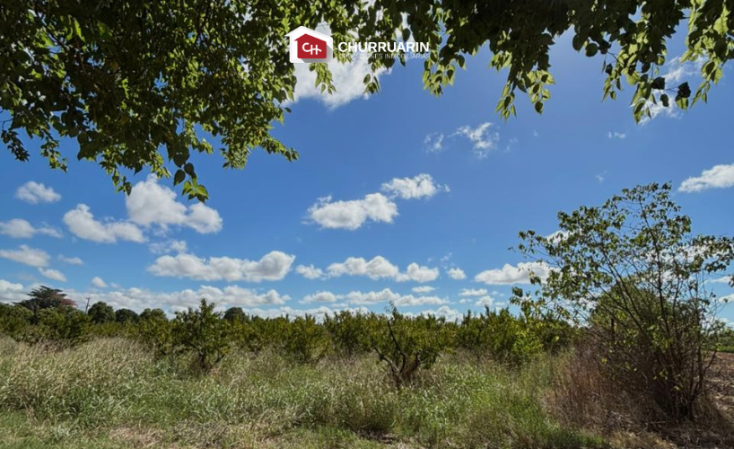 Campo en venta 3 hectáreas en San Pedro